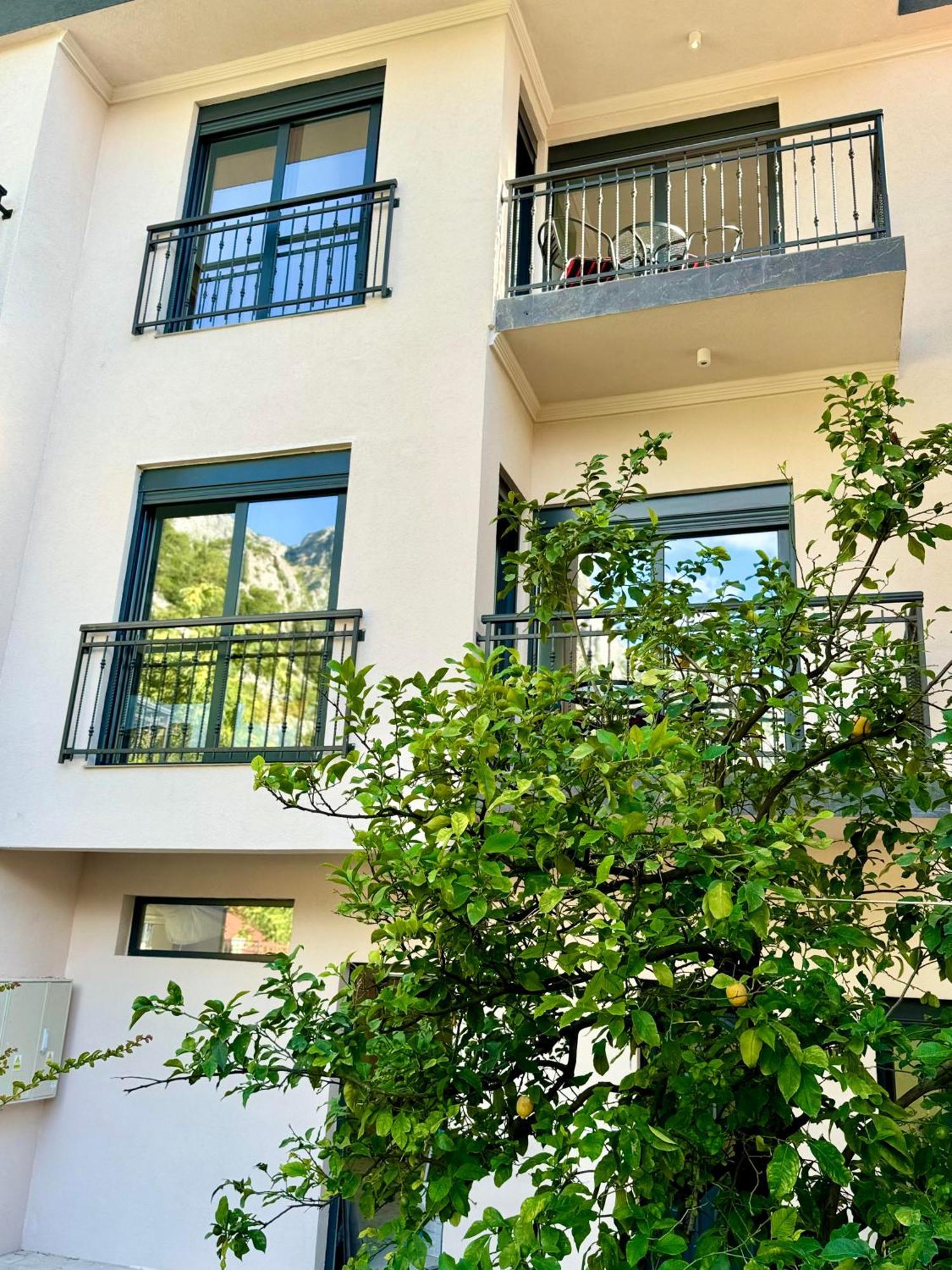 Harmony Garden Apartments Κότορ Εξωτερικό φωτογραφία