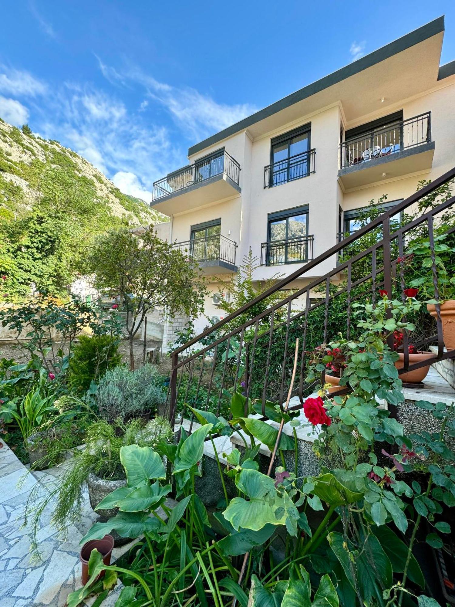 Harmony Garden Apartments Κότορ Εξωτερικό φωτογραφία
